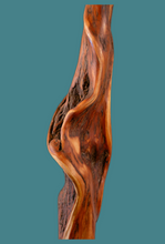 Load image into Gallery viewer, Handcrafted Diamond Willow Hiking Sticks