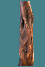 Load image into Gallery viewer, Diamond Willow for Crafting - Sticks & Unique Wood Projects