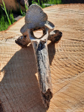 Load image into Gallery viewer, Bison Vertebrae