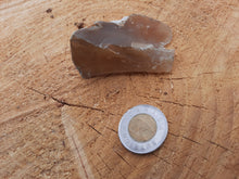 Load image into Gallery viewer, Petrified Wood