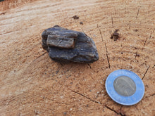 Load image into Gallery viewer, Petrified Wood