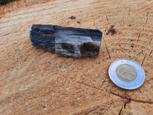 Load image into Gallery viewer, Petrified Wood