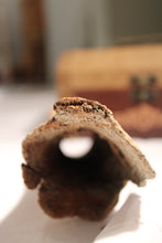 Load image into Gallery viewer, Terrarium Decor - Hollow Lizard Bone