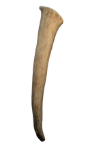 Load image into Gallery viewer, Wilderness-Sourced Knife Handle for Your Next Project