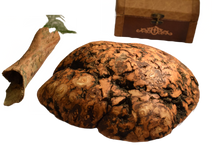 Load image into Gallery viewer, Aspen Burl