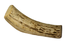 Load image into Gallery viewer, All-natural dog chew from foraged deer and elk sheds