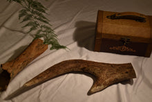 Load image into Gallery viewer, Moose Antler Handle - Large