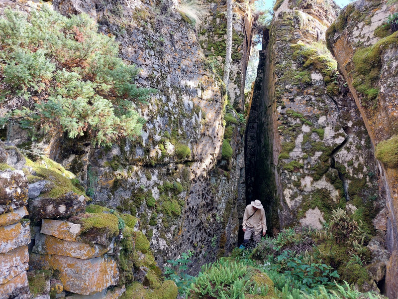 Surveying for Alvars, Crevices, and Caves in Saskatchewan