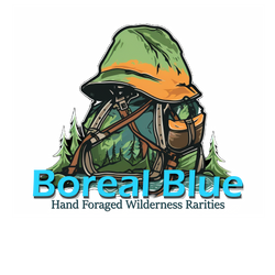 boreal blue logo