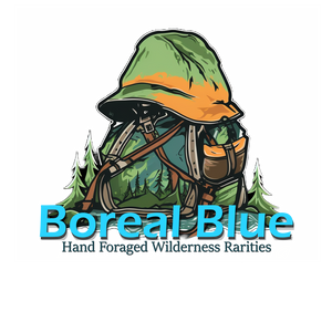 boreal blue logo