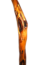 Load image into Gallery viewer, diamond willow sanded and polished hiking stick boreal blue
