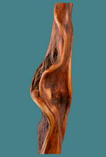 Load image into Gallery viewer, Handcrafted Diamond Willow Hiking Sticks
