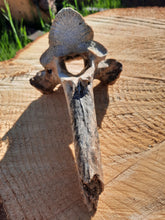 Load image into Gallery viewer, Bison Vertebrae
