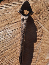 Load image into Gallery viewer, Bison Vertebrae
