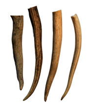 Load image into Gallery viewer, Wild Foraged Deer Antler Knife Handle
